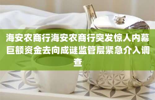 海安农商行海安农商行突发惊人内幕巨额资金去向成谜监管层紧急介入调查