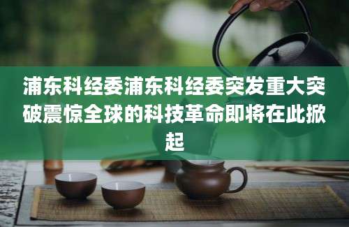 浦东科经委浦东科经委突发重大突破震惊全球的科技革命即将在此掀起