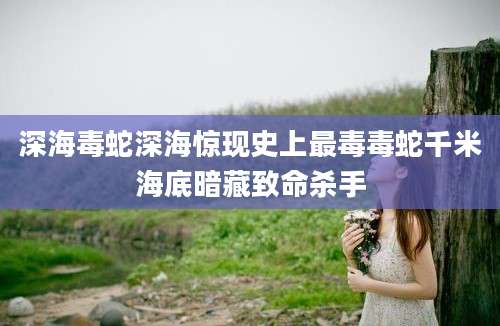 深海毒蛇深海惊现史上最毒毒蛇千米海底暗藏致命杀手