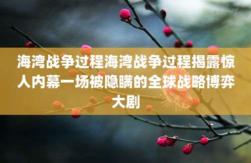 海湾战争过程海湾战争过程揭露惊人内幕一场被隐瞒的全球战略博弈大剧