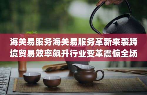 海关易服务海关易服务革新来袭跨境贸易效率飙升行业变革震惊全场
