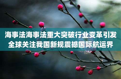海事法海事法重大突破行业变革引发全球关注我国新规震撼国际航运界