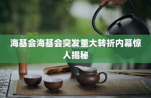 海基会海基会突发重大转折内幕惊人揭秘