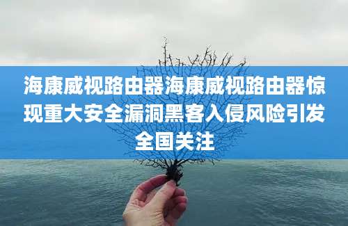 海康威视路由器海康威视路由器惊现重大安全漏洞黑客入侵风险引发全国关注