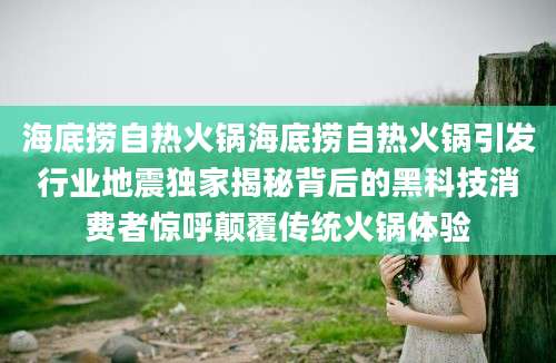 海底捞自热火锅海底捞自热火锅引发行业地震独家揭秘背后的黑科技消费者惊呼颠覆传统火锅体验
