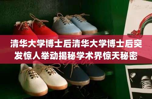 清华大学博士后清华大学博士后突发惊人举动揭秘学术界惊天秘密