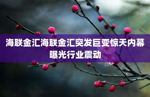 海联金汇海联金汇突发巨变惊天内幕曝光行业震动