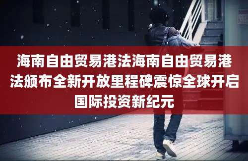 海南自由贸易港法海南自由贸易港法颁布全新开放里程碑震惊全球开启国际投资新纪元
