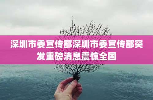 深圳市委宣传部深圳市委宣传部突发重磅消息震惊全国