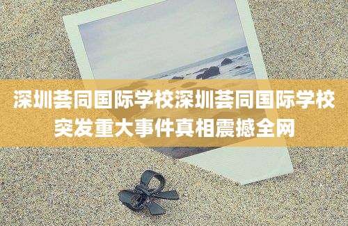 深圳荟同国际学校深圳荟同国际学校突发重大事件真相震撼全网