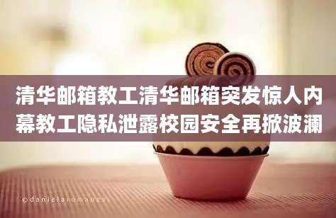 清华邮箱教工清华邮箱突发惊人内幕教工隐私泄露校园安全再掀波澜