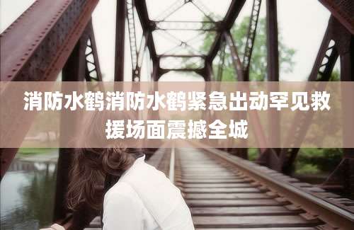 消防水鹤消防水鹤紧急出动罕见救援场面震撼全城