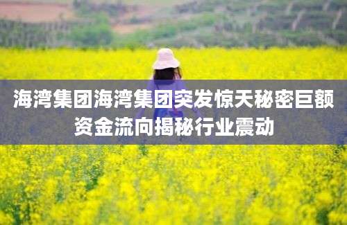 海湾集团海湾集团突发惊天秘密巨额资金流向揭秘行业震动