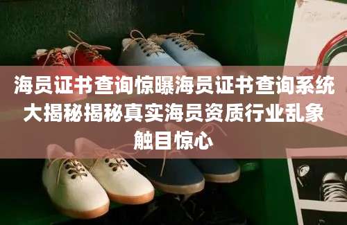 海员证书查询惊曝海员证书查询系统大揭秘揭秘真实海员资质行业乱象触目惊心