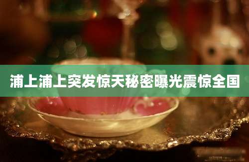 浦上浦上突发惊天秘密曝光震惊全国