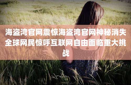 海盗湾官网震惊海盗湾官网神秘消失全球网民惊呼互联网自由面临重大挑战