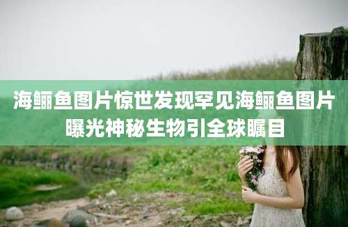 海鲡鱼图片惊世发现罕见海鲡鱼图片曝光神秘生物引全球瞩目