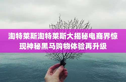 淘特莱斯淘特莱斯大揭秘电商界惊现神秘黑马购物体验再升级