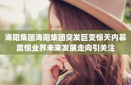 海阳集团海阳集团突发巨变惊天内幕震惊业界未来发展走向引关注