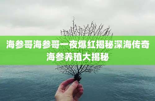 海参哥海参哥一夜爆红揭秘深海传奇海参养殖大揭秘