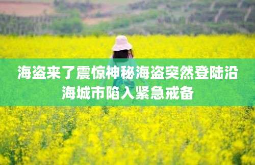 海盗来了震惊神秘海盗突然登陆沿海城市陷入紧急戒备