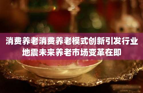 消费养老消费养老模式创新引发行业地震未来养老市场变革在即