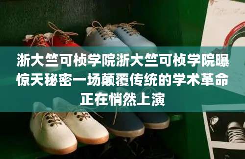 浙大竺可桢学院浙大竺可桢学院曝惊天秘密一场颠覆传统的学术革命正在悄然上演