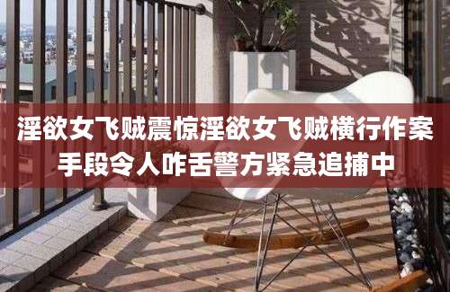 淫欲女飞贼震惊淫欲女飞贼横行作案手段令人咋舌警方紧急追捕中