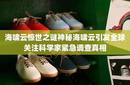海啸云惊世之谜神秘海啸云引发全球关注科学家紧急调查真相