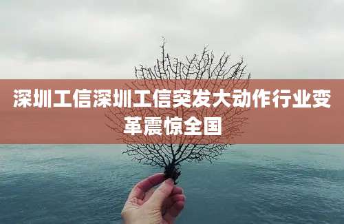 深圳工信深圳工信突发大动作行业变革震惊全国