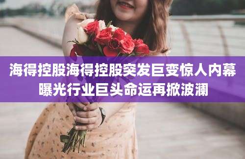 海得控股海得控股突发巨变惊人内幕曝光行业巨头命运再掀波澜