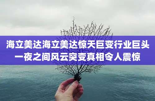 海立美达海立美达惊天巨变行业巨头一夜之间风云突变真相令人震惊