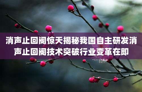 消声止回阀惊天揭秘我国自主研发消声止回阀技术突破行业变革在即
