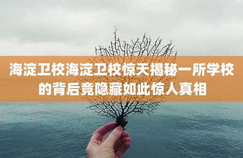 海淀卫校海淀卫校惊天揭秘一所学校的背后竟隐藏如此惊人真相