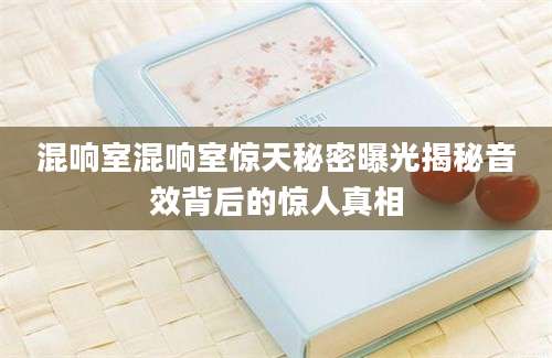 混响室混响室惊天秘密曝光揭秘音效背后的惊人真相