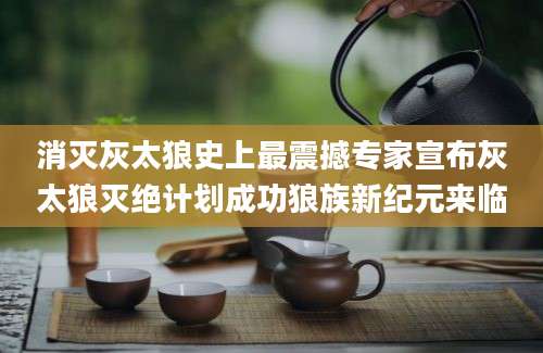 消灭灰太狼史上最震撼专家宣布灰太狼灭绝计划成功狼族新纪元来临