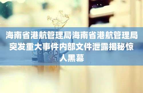 海南省港航管理局海南省港航管理局突发重大事件内部文件泄露揭秘惊人黑幕
