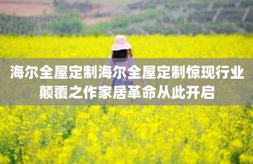 海尔全屋定制海尔全屋定制惊现行业颠覆之作家居革命从此开启