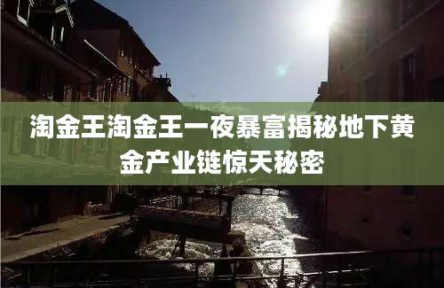 淘金王淘金王一夜暴富揭秘地下黄金产业链惊天秘密