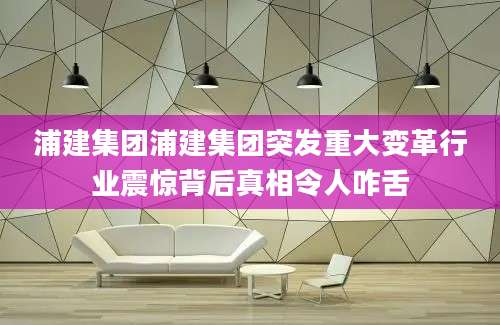 浦建集团浦建集团突发重大变革行业震惊背后真相令人咋舌