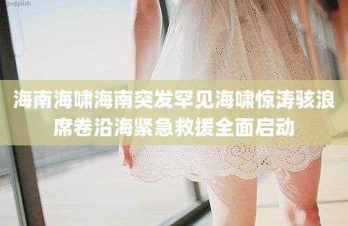 海南海啸海南突发罕见海啸惊涛骇浪席卷沿海紧急救援全面启动