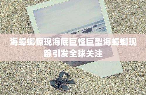 海蟑螂惊现海底巨怪巨型海蟑螂现踪引发全球关注
