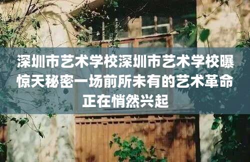 深圳市艺术学校深圳市艺术学校曝惊天秘密一场前所未有的艺术革命正在悄然兴起