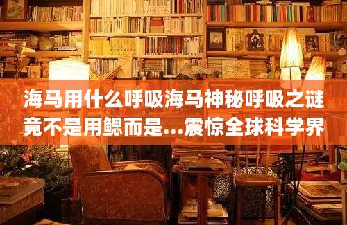 海马用什么呼吸海马神秘呼吸之谜竟不是用鳃而是...震惊全球科学界