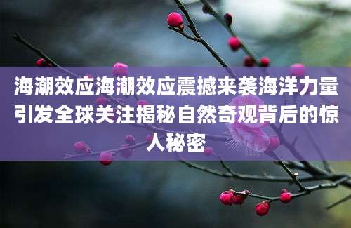 海潮效应海潮效应震撼来袭海洋力量引发全球关注揭秘自然奇观背后的惊人秘密