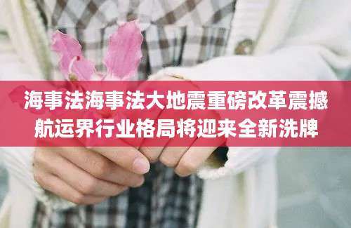 海事法海事法大地震重磅改革震撼航运界行业格局将迎来全新洗牌