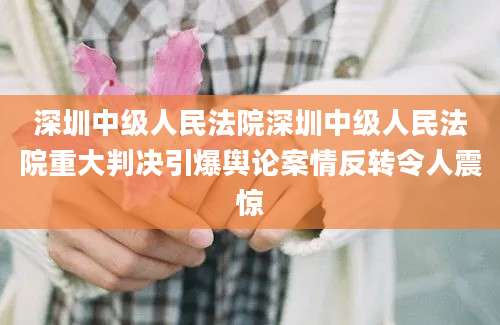 深圳中级人民法院深圳中级人民法院重大判决引爆舆论案情反转令人震惊