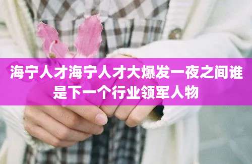 海宁人才海宁人才大爆发一夜之间谁是下一个行业领军人物