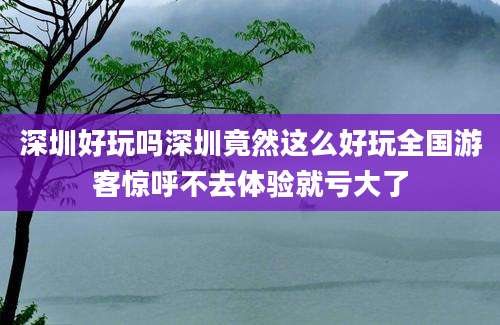 深圳好玩吗深圳竟然这么好玩全国游客惊呼不去体验就亏大了