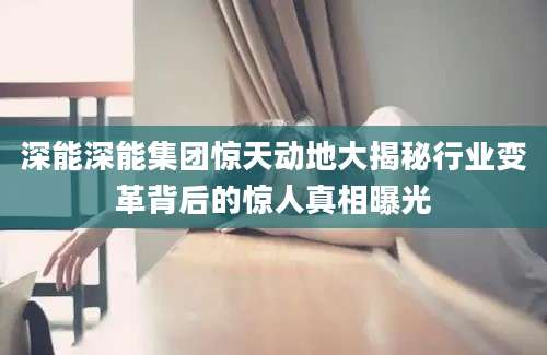 深能深能集团惊天动地大揭秘行业变革背后的惊人真相曝光